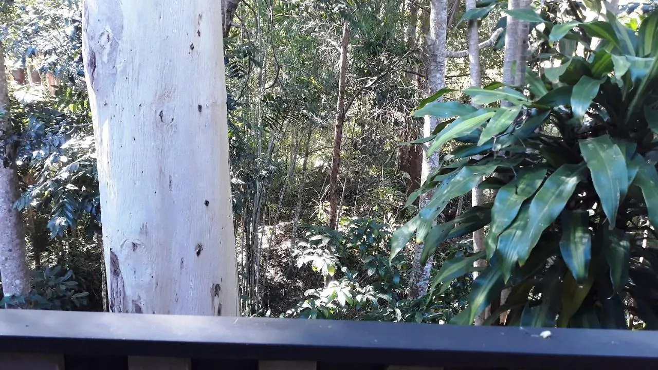 Tranquil Rainforest Homestay By River, Free Wifi Mooloolah