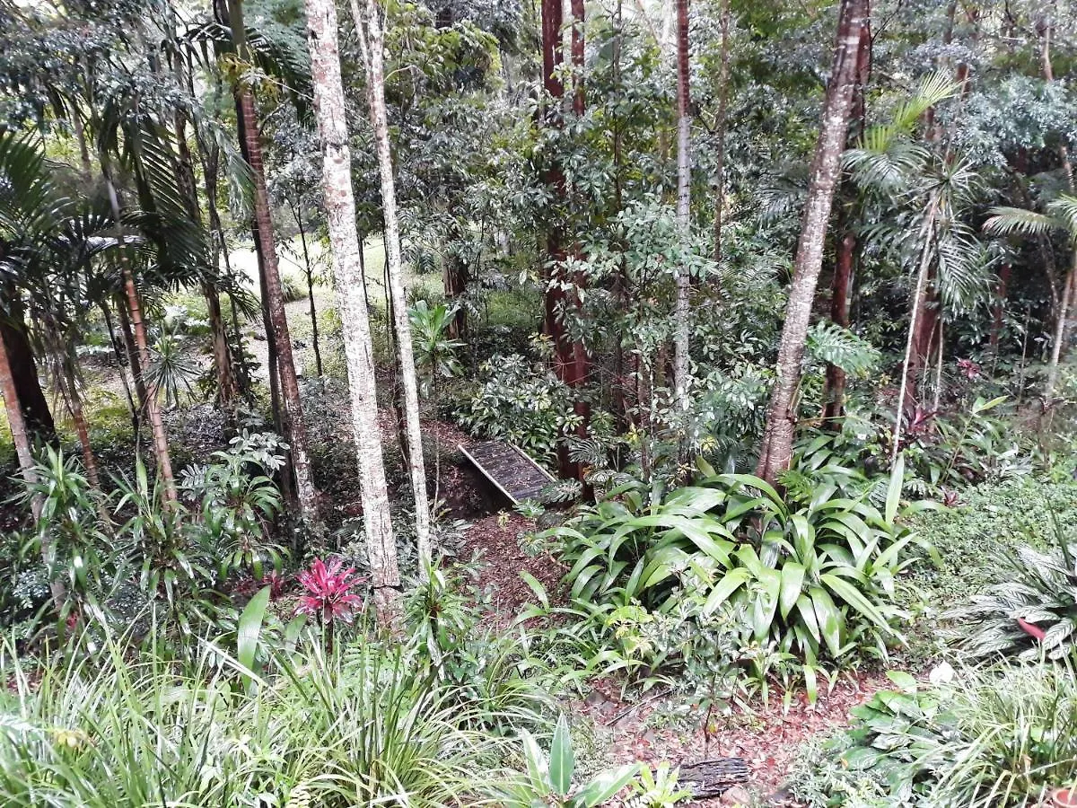 Tranquil Rainforest Homestay By River, Free Wifi Mooloolah Australia